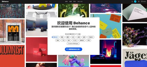设计网站behance-图1 设计网站behance-图1