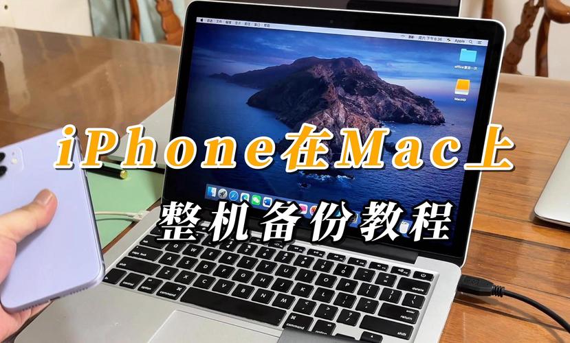 iPhone数据备份到电脑，如何操作最省心？-图1