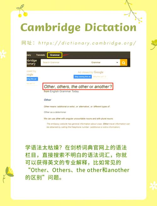 英文网站都是国外网站吗?-图1 英文网站都是国外网站吗?-图1