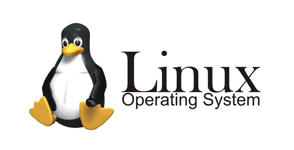 服务器Linux系统是什么版本?-图2 服务器Linux系统是什么版本?-图2