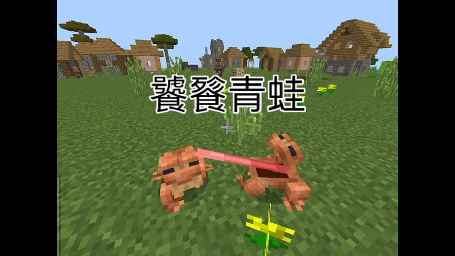 minecraft蛤蟆吃服务器-图1 minecraft蛤蟆吃服务器-图1