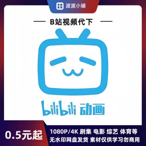 bilibili电脑版下载哪里找？-图3