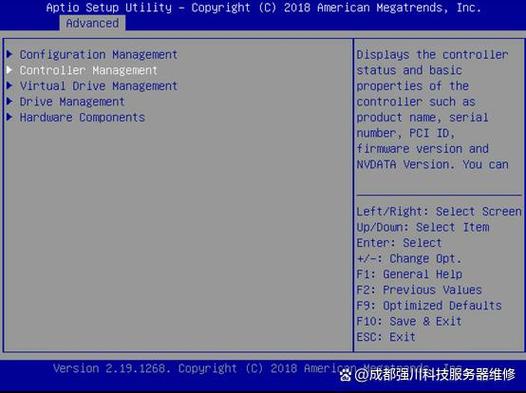 Dell服务器如何配置RAID？-图3
