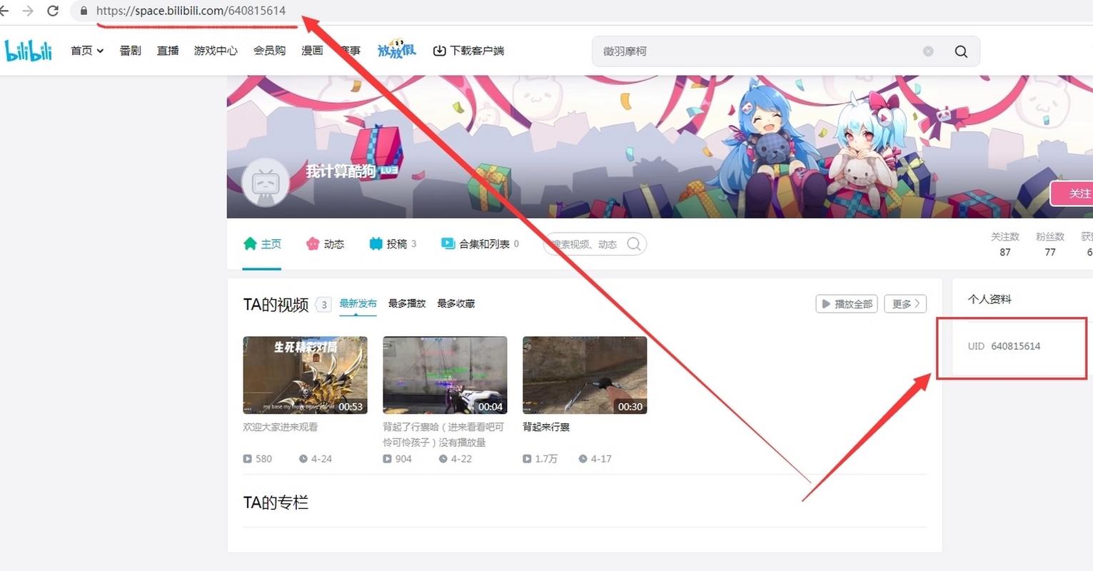 bilibili电脑版网页-图3