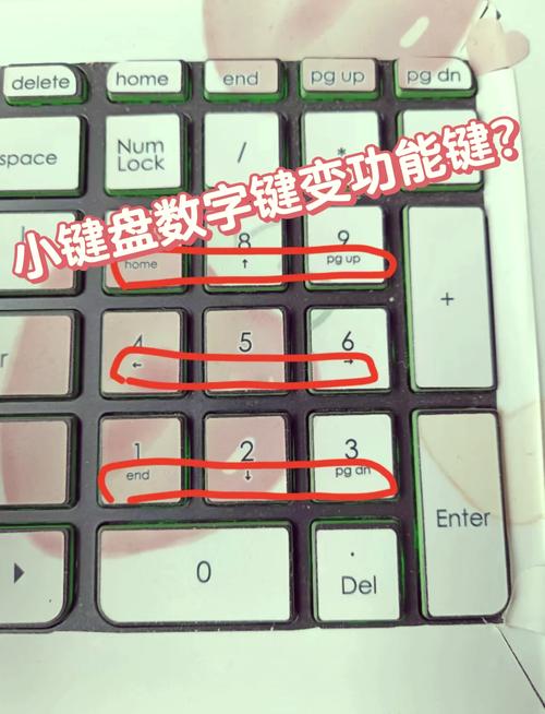 笔记本数字键失灵怎么办？-图1