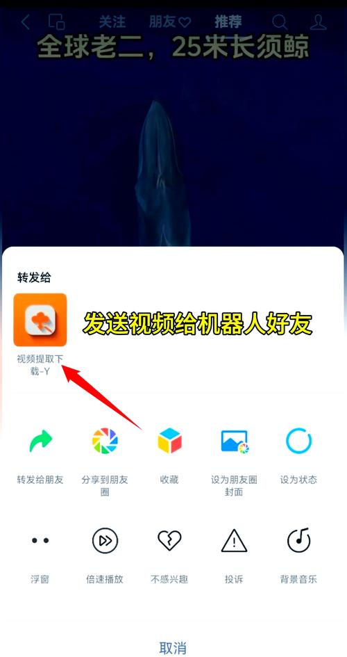 微信视频如何保存到电脑?-图1 微信视频如何保存到电脑?-图1