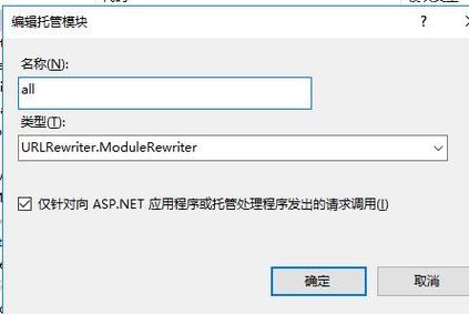 IIS伪静态规则如何配置？-图1