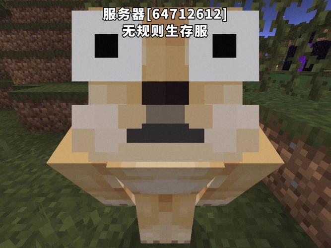 Minecraft服务器状态在线吗？-图2