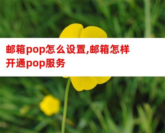 接收邮件服务器pop地址怎么填?-图1 接收邮件服务器pop地址怎么填?-图1