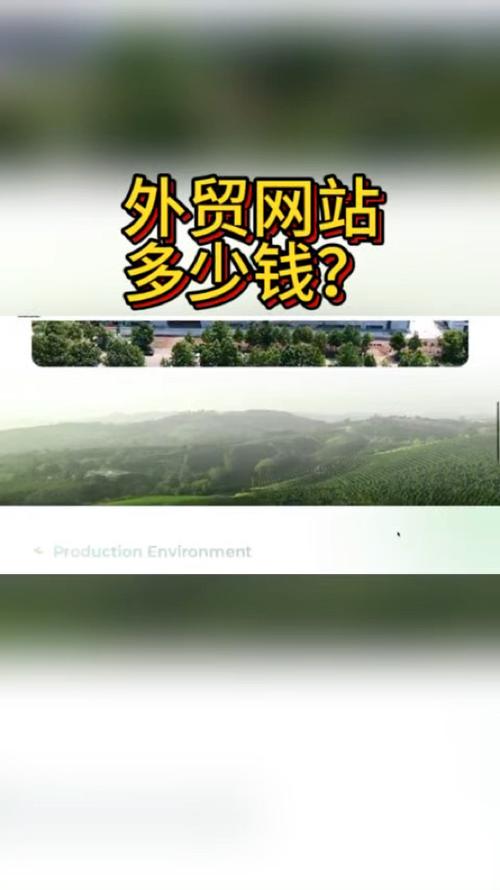 外贸网站制作费用究竟多少？-图3