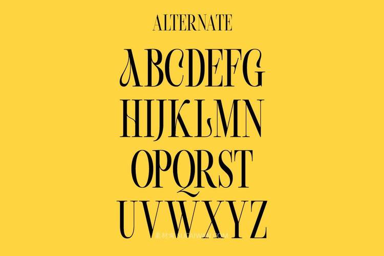 英文网站设计常用字体有哪些?-图1 英文网站设计常用字体有哪些?-图1