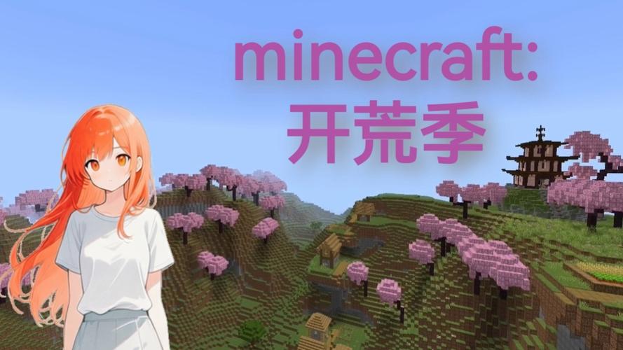 Minecraft服务器皮肤怎么换?-图3 Minecraft服务器皮肤怎么换?-图3