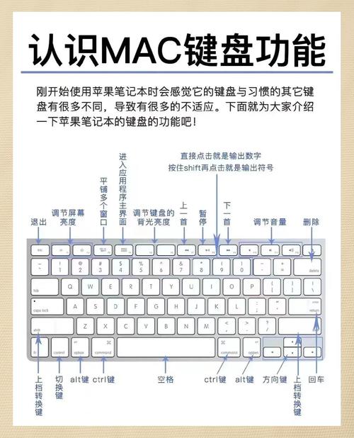 笔记本电脑输入法如何快速设置？-图2