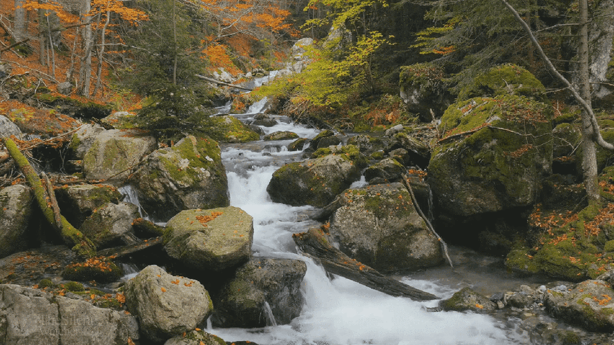 电脑桌面动态壁纸高清全屏怎么选？-图3