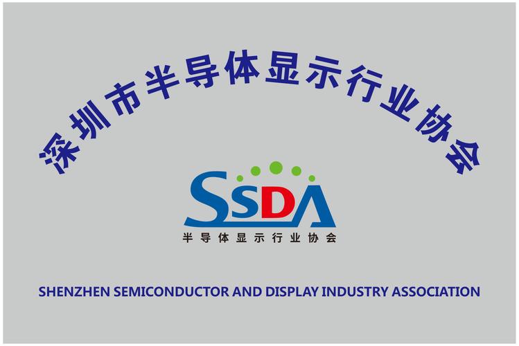 深圳政府网站字体有哪些具体要求？-图3