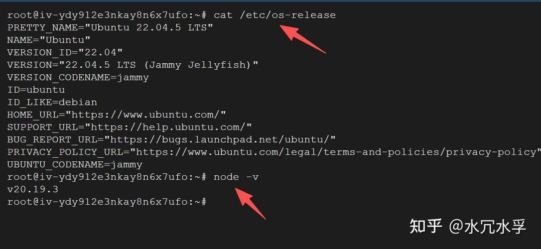 Ubuntu如何快速搭建DNS服务器？-图2