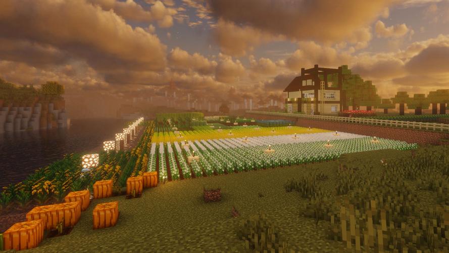 如何加入Minecraft官方服务器？-图3