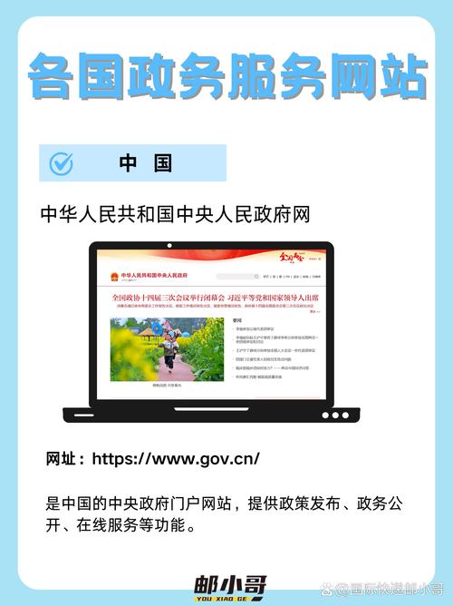 政府网站功能特色如何体现？-图2