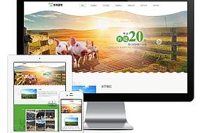 畜牧养殖企业网站源码如何获取？-图2