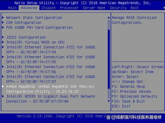 怎么看服务器有没有做raid-图1
