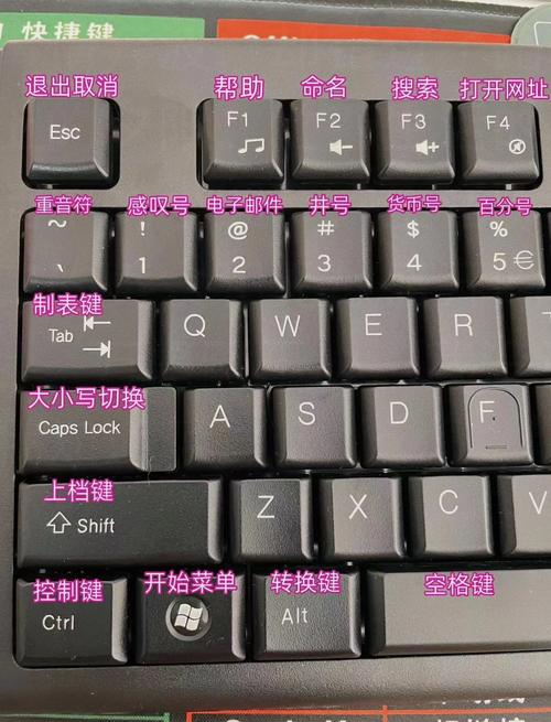 苹果电脑复制粘贴快捷键是哪个？-图3