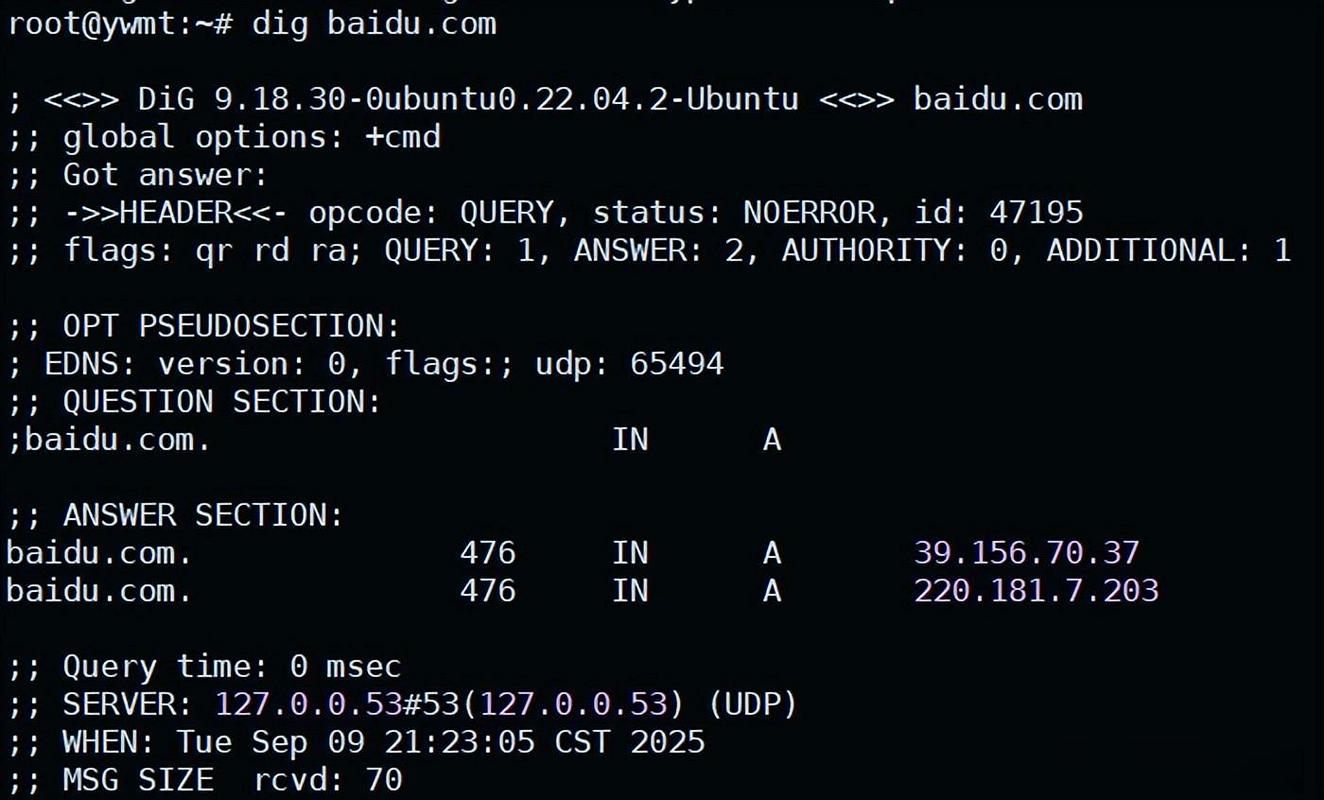 Linux SVN服务器地址如何配置？-图1