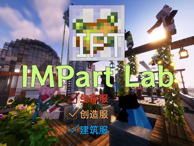 minecraft进入服务器-图3