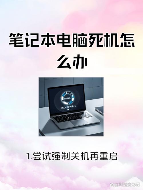 笔记本死机了怎么快速解决？-图1