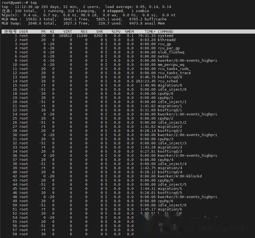 Linux如何查看服务器CPU信息？-图2