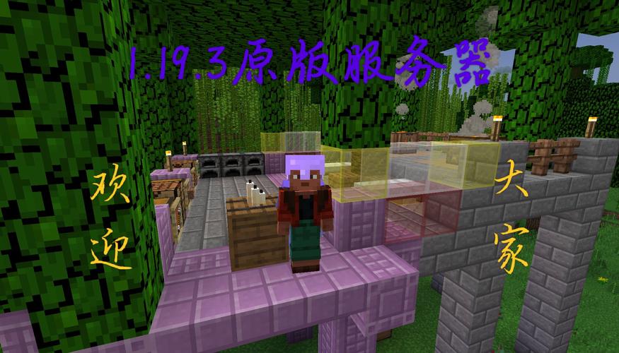 Minecraft连接服务器失败怎么办？-图2
