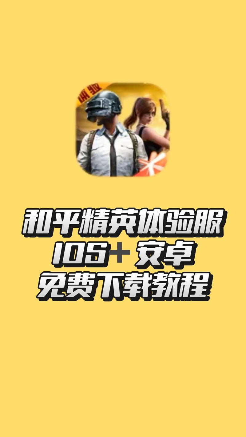 和平精英电脑版下载步骤是什么？-图2