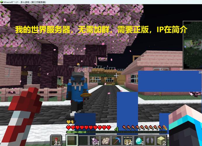 Minecraft服务器IP怎么查？-图1