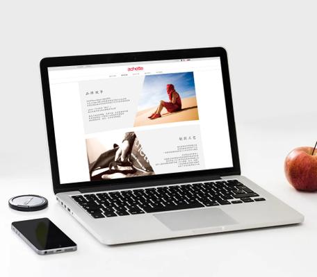 上海松江网站制作公司-图2 上海松江网站制作公司-图2