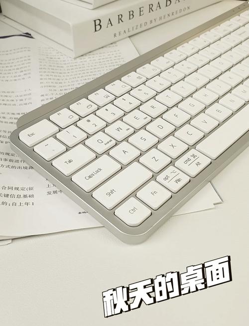 苹果电脑键盘失灵该怎么处理？-图2