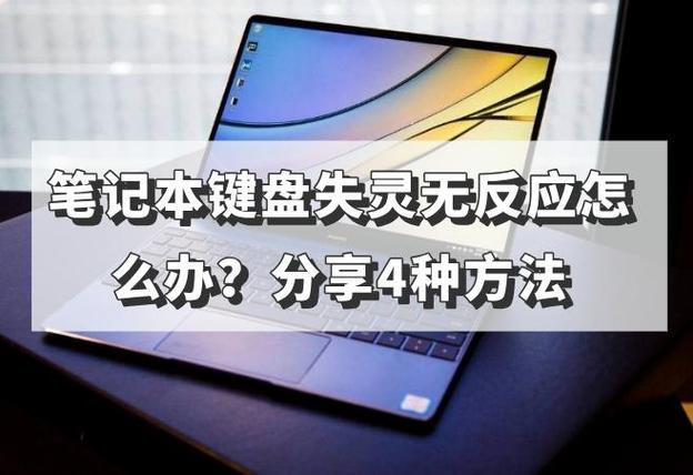 苹果电脑键盘失灵该怎么处理？-图3