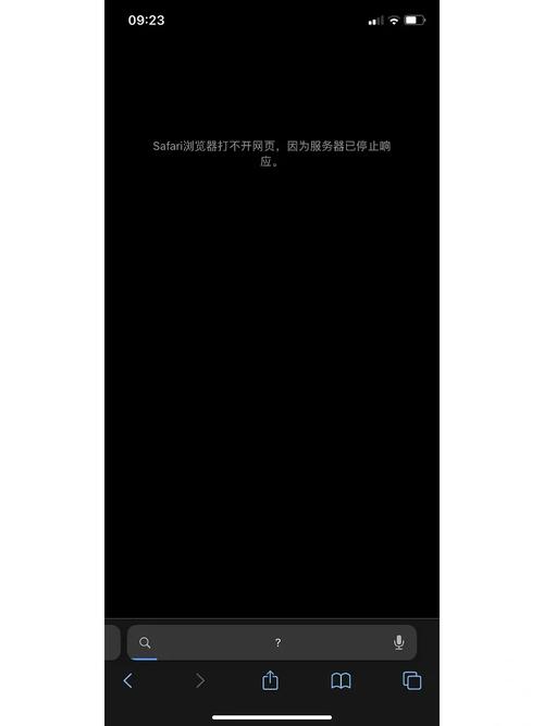 Safari为何总提示无法连接服务器？-图2