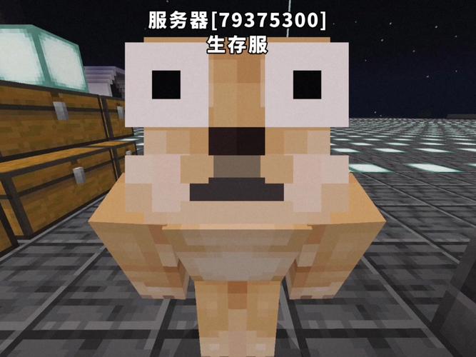 免费Minecraft服务器怎么获取？-图3