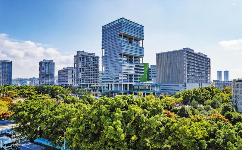 深圳宝安企业网站建设如何高效落地？-图1