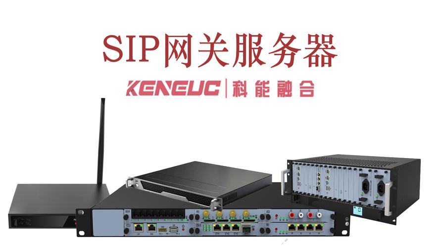 License服务器到底是什么？-图2