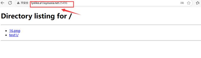 如何快速搭建HTTP代理服务器？-图2