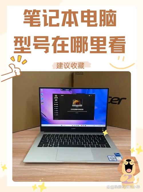 笔记本型号在哪看？-图2