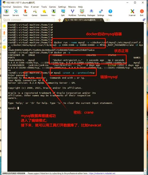 mysql数据库服务器ip-图3 mysql数据库服务器ip-图3