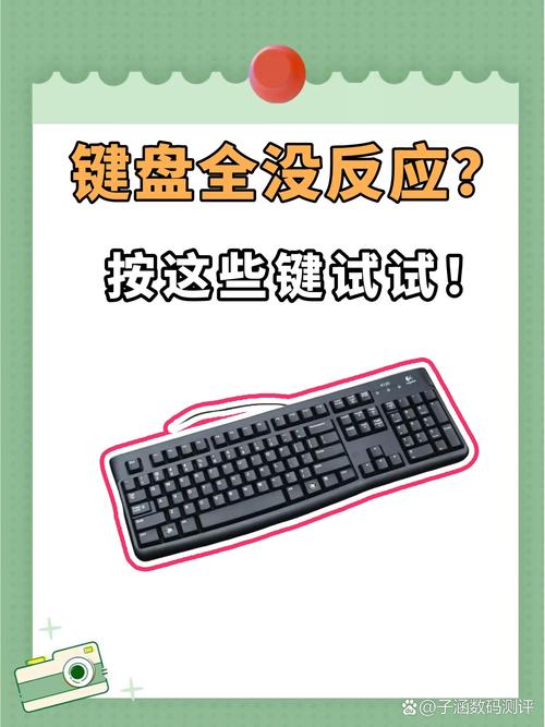 键盘打不出字是什么原因？-图1