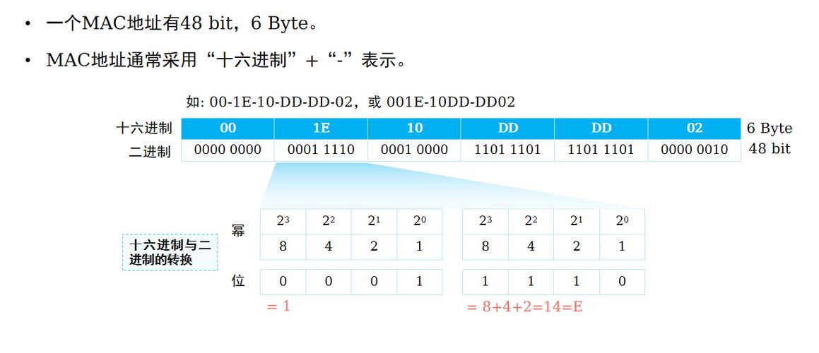 dhcp服务器的mac地址-图2