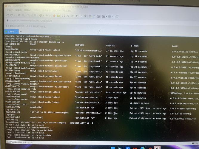 Linux服务器部署项目有哪些关键步骤？-图1