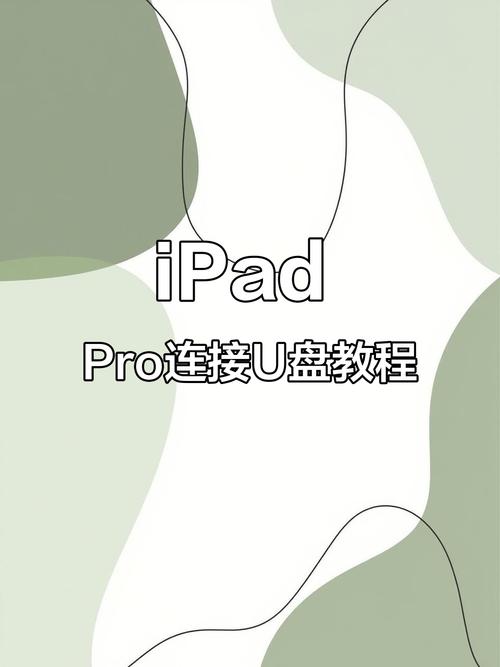 如何将电脑软件拷贝到U盘？-图1