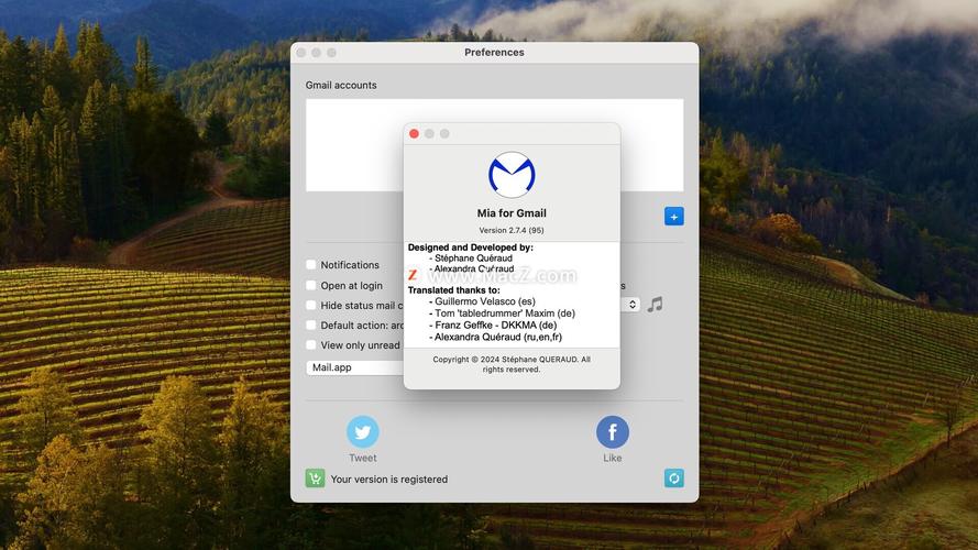 Gmail接收邮件服务器地址是什么？-图2