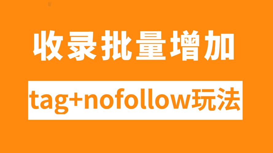 网站nofollow是什么？-图2