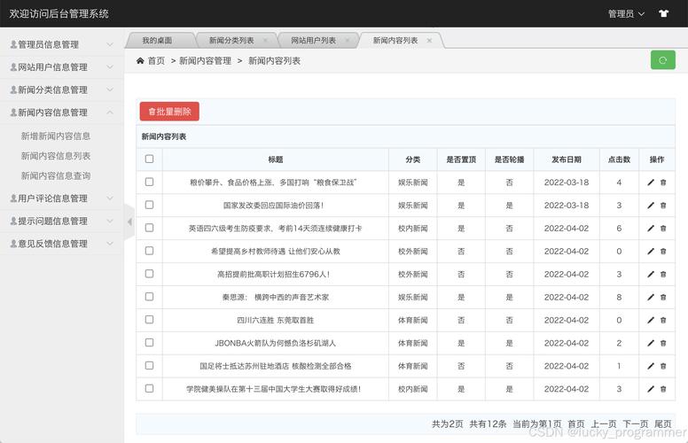 网站后台管理系统源码怎么获取?-图3 网站后台管理系统源码怎么获取?-图3