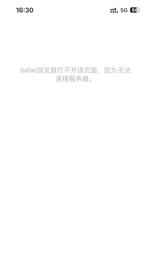 Safari服务器为何停止响应？-图2